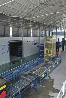 全自動(dòng)預(yù)制件生產(chǎn)線(xiàn)設(shè)備/預(yù)制件整廠自動(dòng)化生產(chǎn)